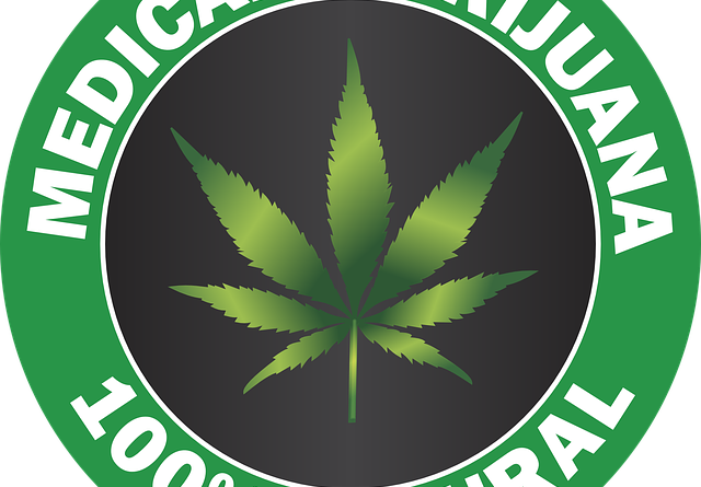 Blokklánc segítségével azonosítják a marihuána törzseket Blokklánc segítségével azonosítják a marihuána törzseket