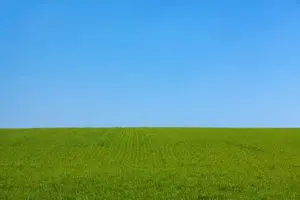 Szabadság