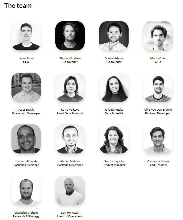 MEDIA Protocol ICO csapat