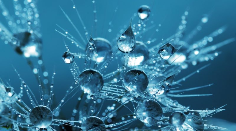 A Bitmain kijött új 18TH/s vízhűtéses bitcoin bányászával, az Antminer S9 Hydro -val A Bitmain kijött új 18TH/s vízhűtéses bitcoin bányászával, az Antminer S9 Hydro -val