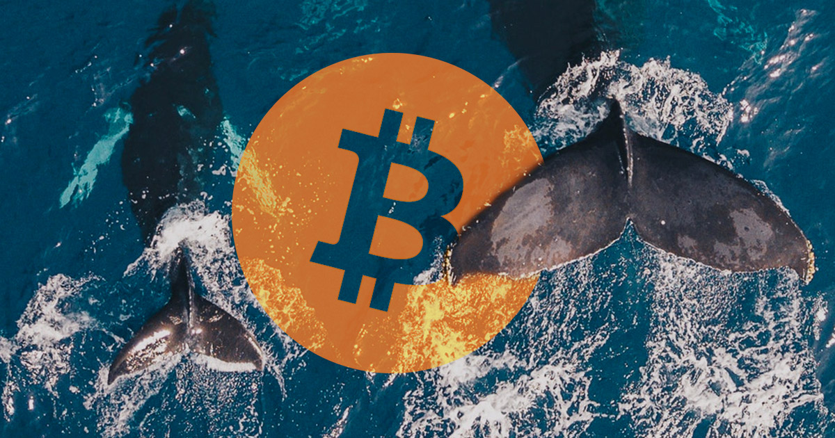 bitcoin riasztás btc usd átalakítóhoz