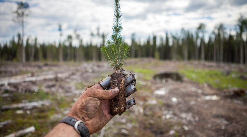 A bitcoin fehér könyve egyenlő a decentralizált kormányzás alkotmányával A bitcoin fehér könyve egyenlő a decentralizált kormányzás alkotmányával
