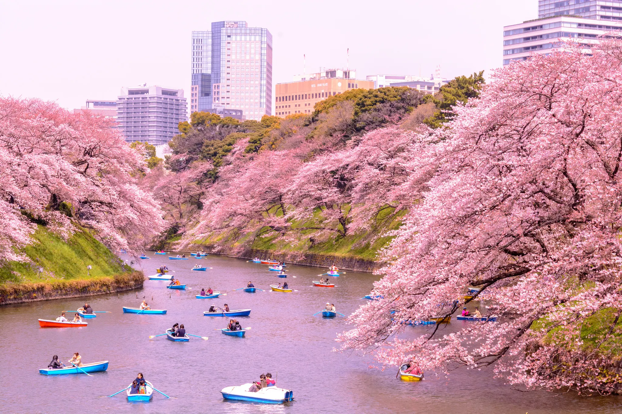 Japán legnagyobb bankja a Ripple mellett döntött:
