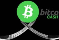 Bitcoin Cash fork