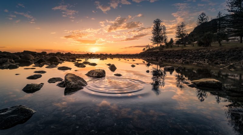 Túlértékelt a ripple (XRP), állítja az adatelemző cég