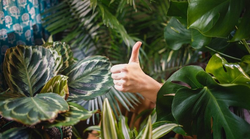 Hamarosan elindulhat az Mt. Gox ügyfelek kártérítése