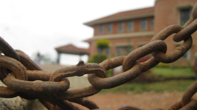 Vestchain: 382%-os növekedés – átverés lenne ez a kriptovaluta?