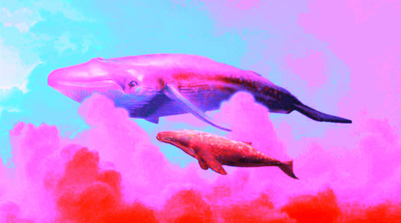 376 tárcában összpontosul az összes Ether 33%-a