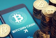 Áprilisban egyetlen rejtélyes bitcoin cash tárca állt a tranzakciók 50%-a mögött