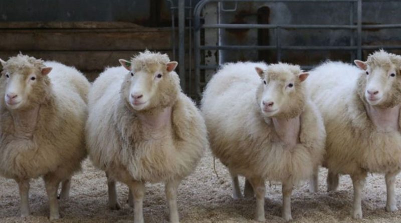 Itt egy oldal, amin követheted az összes Bitcoin forkot Itt egy oldal, amin követheted az összes Bitcoin forkot