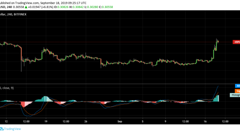 Brutális raliba fordult a ripple (XRP), 24 óra alatt 13%-ot ment