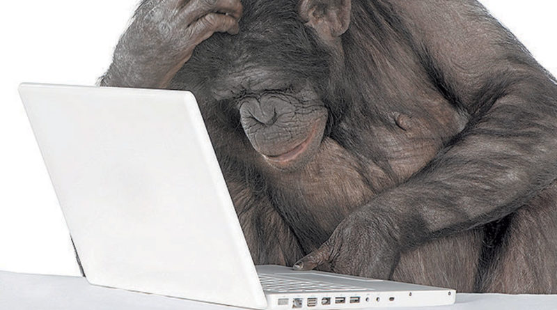 Miért nincs semmi értelme a bitcoin árfolyam előrejelzéseknek