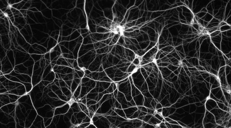 Adattudós mélytanulással számolja ki a Bitcoin árfolyamát