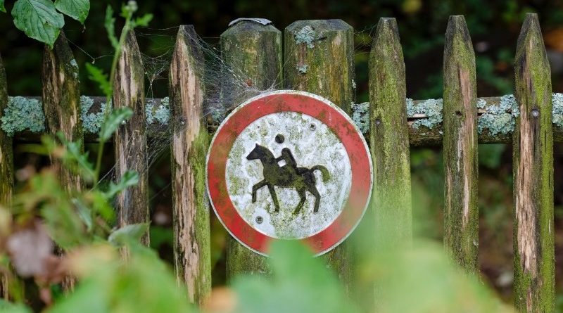 Üzbegisztán betiltja a kriptovaluta vásárlást, már csak értékesíteni lehet