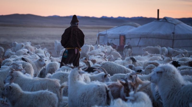 Mongol kecskepásztor esete a blokklánccal