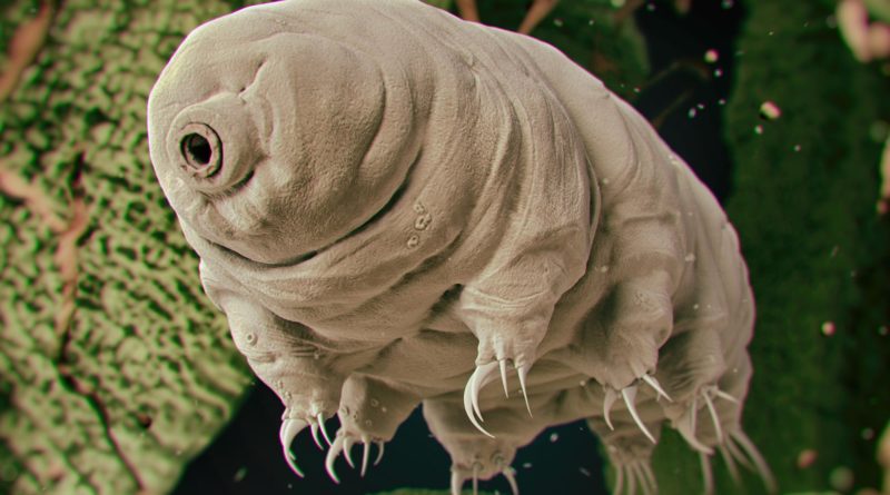 Elindult a Storj decentralizált felhőtárolási platformja, a Tardigrade
