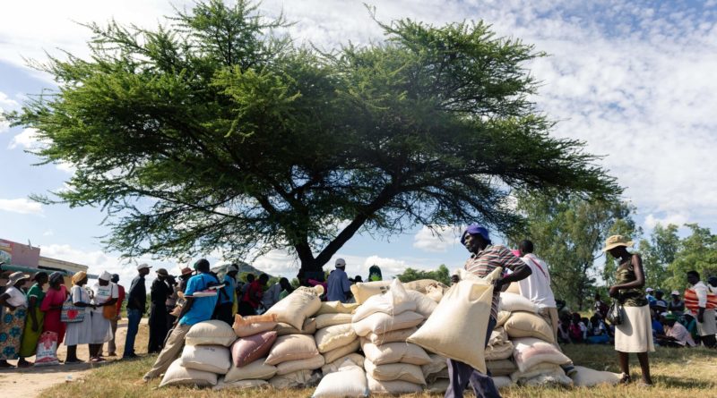 Zimbabwe valutája az összeomlás szélén, tiltják a mobil fizetéseket