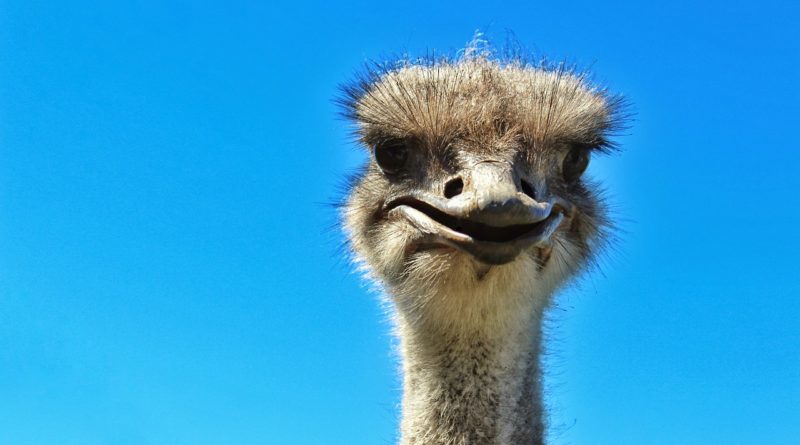 Semmi közünk hozzá