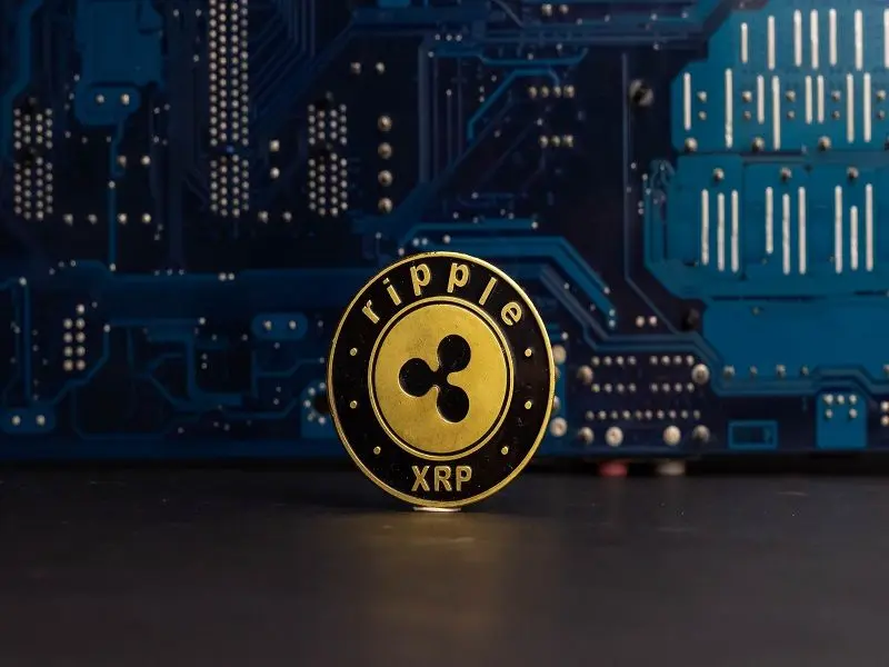 Ripple munkahely