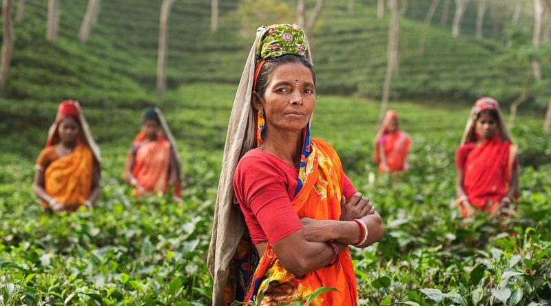 India és Srí Lanka sokkal inkább ki vannak téve a kibertámadásoknak