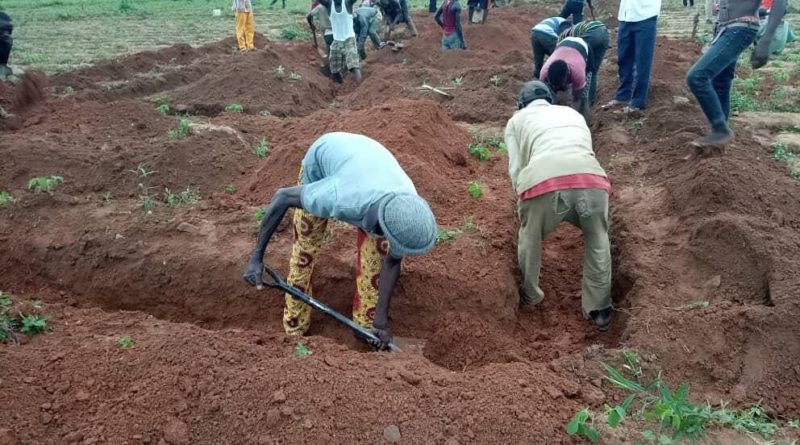 Újabb iskola létesül Afrikában a Paxful támogatásával
