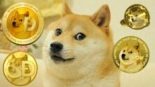Dogecoin shiba inu szobor