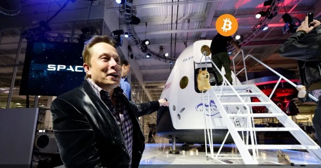 Bitcoin és Musk