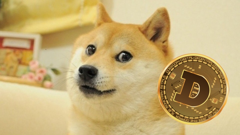 Doge kriptokereskedelem)