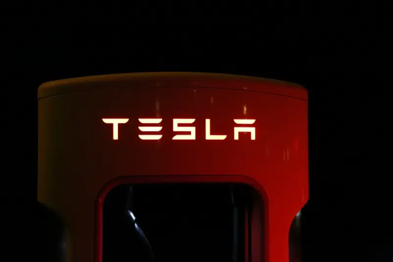 Tesla Shiba Inu-t