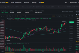 Binance útmutató: minden, amit tudni érdemes a kriptotőzsdéről