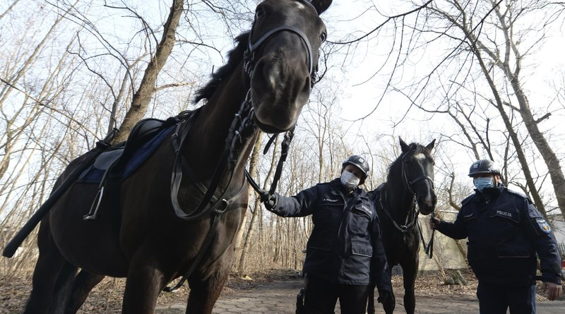 Nyugdíjat a szolgálati kutyáknak és lovaknak! Íme a lengyel állatvédelem
