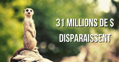 Meerkat finance
