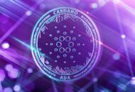 Cardano Alonzo Purple