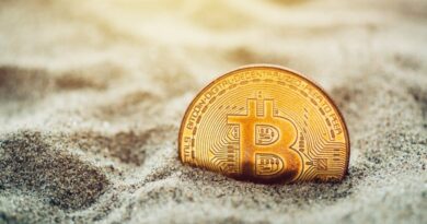 bitcoin sv bányászati nyereség francia kriptokereskedő