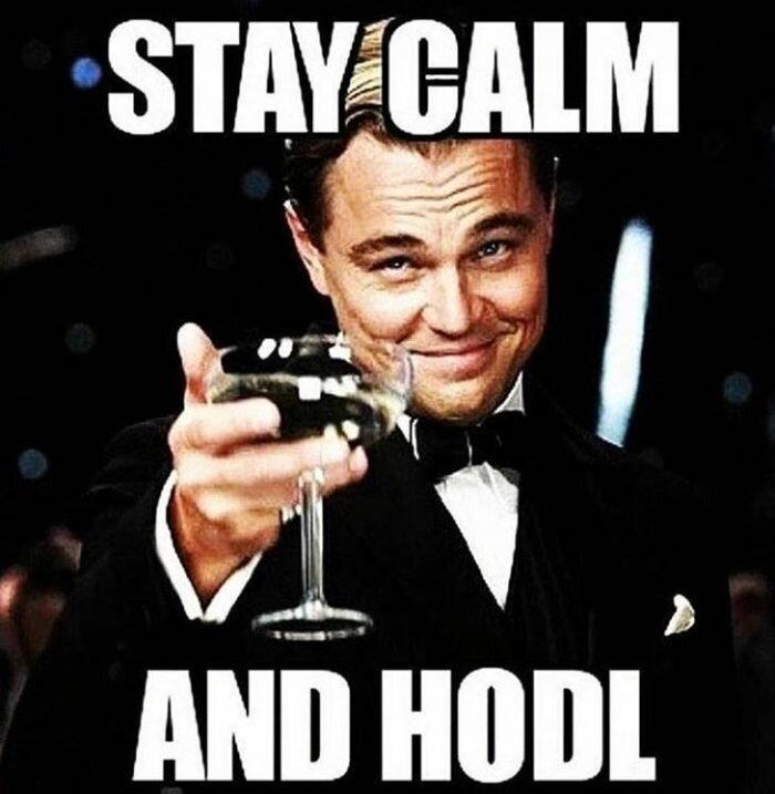 HODL mém