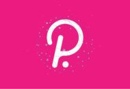 Polkadot