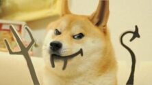 Dogecoin alapító: Ha nem futtatsz DOGE nodeot te vagy a sátán