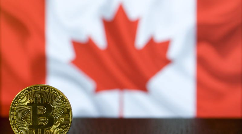 Kanadai jegybank elnök: a kutya nem vásárol Bitcoinnal