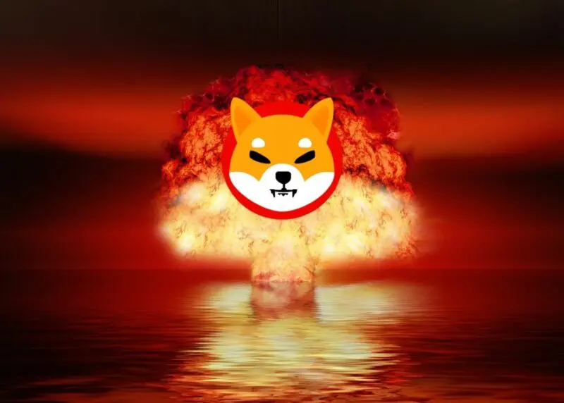 Shiba Inu tokenégető