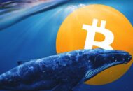 A bálnák kezében összpontosul a bitcoin kínálat 45,6%-a