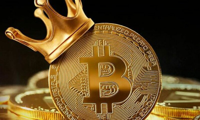 szervezetek a bitcoin befektetésére