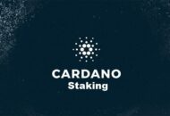Cardano staking
