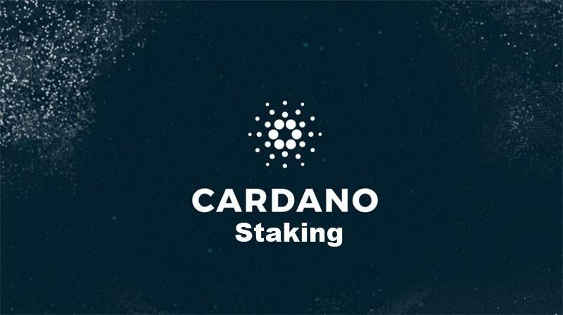 A Cardano staking poolba már több mint 1 millió cím csatlakozott