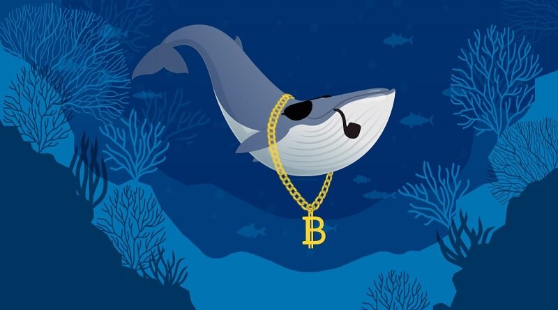 bitcoin bálna