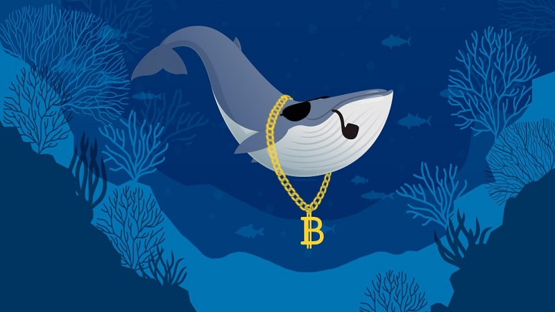 bálnák bitcoin tőkeáttételes kereskedő