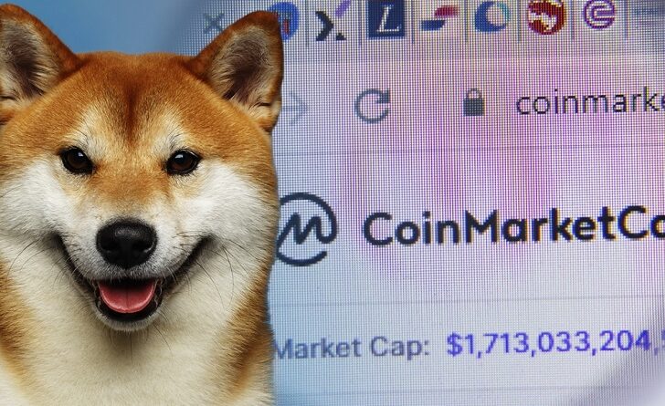 A Shiba Inu szélhámossággal vádolja a CoinMarketCap platformot
