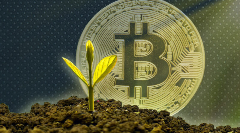 hogyan lehet befektetni bitcoin készpénzbe az Egyesült Királyságban