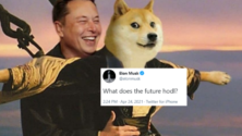 Elon Musk dogecoin