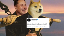 Elon Musk dogecoin árfolyam