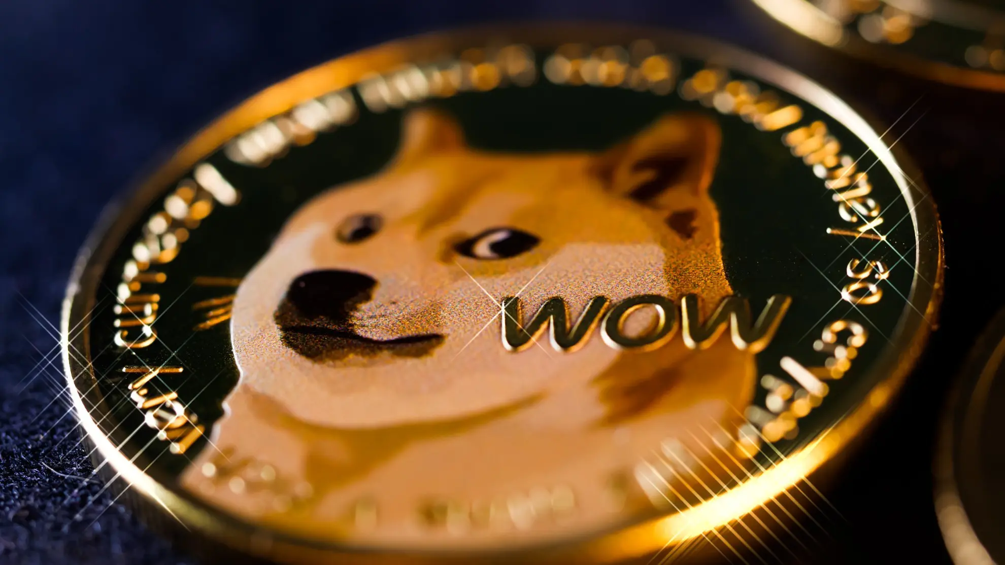 Shiba Inu